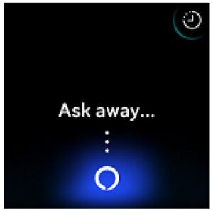 Alexa on the screen example