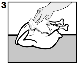 Drying the turkey diagram