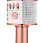 BONAOK Microphone & Speaker Q37 Manual Thumb