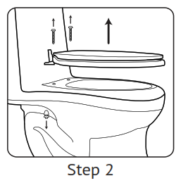Removing toilet seat in part 2
