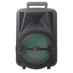 QFX Portable Speaker BT-87 User Manual Thumb