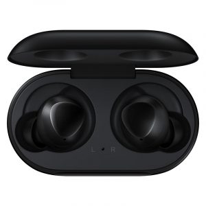 Samsung Galaxy Buds R170 Manual Image