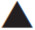 Map icon