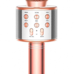 Wireless Karaoke Microphone WS-858 Manual Image