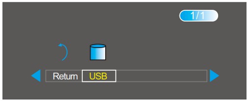 Select the correct disk option