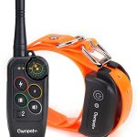AGPTEK Ownpets Remote Controlled Dog Training Collar Manual Thumb