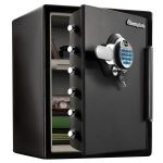SentrySafe Fingerprint Keypade Fire-Safe Manual Thumb