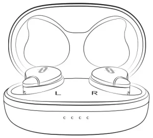 TAOTRONICS SoundLiberty 79 True Wireless Earbuds manual Image