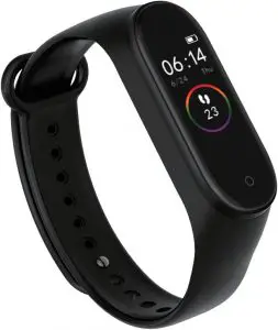 RoHS Smart Bracelet Manual Image