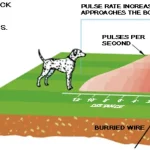 AGPTEK Smart Dog In-ground Pet Fencing System W-227 Manual Thumb