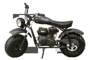 Coleman CT200U-EX V 196cc Mini Bike Manual Image