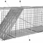 Havahart Large 1-Door Trap 1079 manual Thumb
