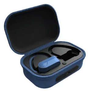 Poloroid PBT162 Wireless Earbuds Manual Image