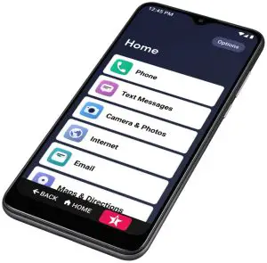 Lively Smart Phone manual Image