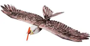 Dancing Wings Hobby Eagle II EPP Airplane Manual Image
