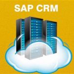 SAP and Remote Network Access Manual Thumb