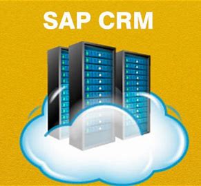 SAP and Remote Network Access Manual Image