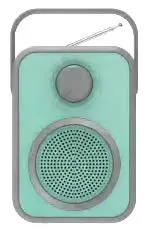 Polaroid PBT9550 Bluetooth Speaker Manual Image