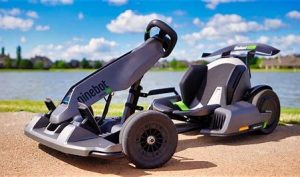 SEGWAY ninebot GoKart Pro Manual Image