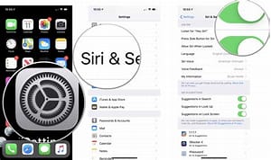 Change Siri settings on iPhone Manual Image