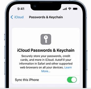 Apple Make your passwords available on all your devices with iPod touch and iCloud Keychain Manual Image
