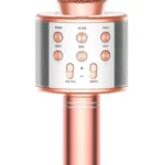 WS-858 Wireless Microphone Handheld KTV Manual Image