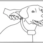 Patpet A01 No Bark Collar Manual Thumb