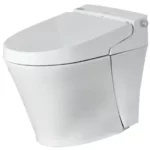 WOODBRIDGE B0960S Electronic Bidet Toilet Manual Thumb