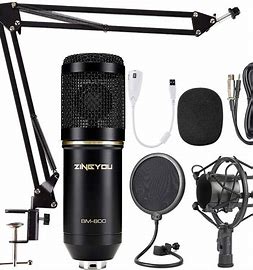 ZINGYOU BM-800 Microphone Manual Image