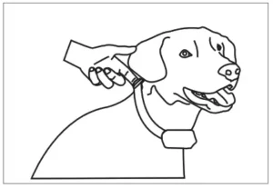 PATPET No Bark Collar A12 Manual Image