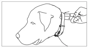 dogtra 1900S Black training e-collar Manual Image